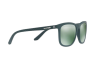 Occhiali da Sole Arnette Chenga AN 4240 (25106R)