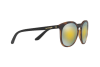 Occhiali da Sole Arnette Chenga r AN 4241 (23758N)