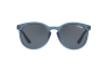 Солнцезащитные очки Arnette Chenga r AN 4241 (251287)