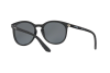 Occhiali da Sole Arnette Chenga r AN 4241 (41/81)