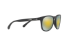 Sunglasses Arnette Hardflip AN 4245 (01/8N)