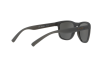 Солнцезащитные очки Arnette AN 4252 (25266G)