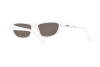 Sunglasses Arnette Lost boy AN 4260 (262422)