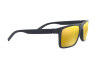 Sunglasses Arnette Goemon AN 4267 (25875A)