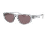 Sunglasses Arnette Daemon AN 4269 (26657N)