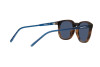 Sunglasses Arnette Momos AN 4289 (27741W)