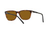 Sunglasses Arnette Cortex AN 4291 (277083)