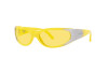Sunglasses Arnette Catfish AN 4302 (281685)