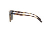 Lunettes de soleil Arnette Plaka AN 4306 (27702V)