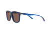 Солнцезащитные очки Arnette Plaka AN 4306 (284773)