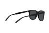 Occhiali da Sole Arnette Woland AN 4307 (275387)