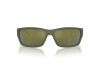 Sunglasses Arnette Frambuesa AN 4336 (28546R)