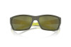 Sunglasses Arnette Frambuesa AN 4336 (28546R)