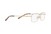Eyeglasses Arnette Gold rust AN 6129 (739)