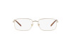 Eyeglasses Arnette Gold rust AN 6129 (739)