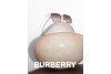 Солнцезащитные очки Burberry Daphne BE 3133 (133713)