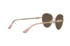 Sunglasses Bulgari BV 6174 (20140W)