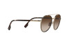 Sunglasses Burberry Ivy BE 3131 (110913)