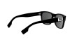 Sunglasses Burberry BE 4309 (3001Z3)