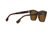 Sonnenbrille Burberry Cooper BE 4348 (300283)