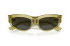 Sunglasses Burberry BE 4425U (411887)