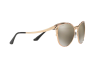 Солнцезащитные очки Bvlgari BV 6083 (20145A)