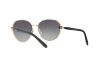 Lunettes de soleil Bvlgari BV 6087B (20238G)