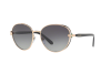 Lunettes de soleil Bvlgari BV 6087B (20238G)