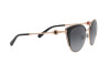 Sunglasses Bvlgari BV 6133 (2014T3)