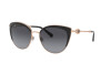 Sunglasses Bvlgari BV 6133 (2014T3)
