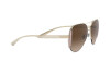 Sunglasses Bvlgari BV 6142 (278/13)