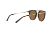 Lunettes de soleil Bvlgari BV 7029 (541183)