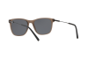 Sunglasses Bvlgari BV 7032 (526287)