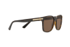 Sunglasses Bvlgari BV 7033 (977/73)