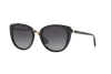 Sunglasses Bvlgari BV 8177 (501/8G)