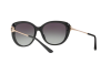 Lunettes de soleil Bvlgari BV 8194B (501/8G)