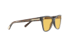 Солнцезащитные очки Bvlgari BV 8208 (545585)