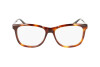 Eyeglasses Calvin Klein CK22507 (220)