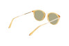 Sonnenbrille Calvin Klein CK22513S (729)