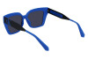 Sonnenbrille Calvin Klein Jeans CKJ22639S (400)
