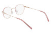 Eyeglasses Dkny DK1032 (717)