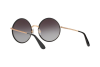 Lunettes de soleil DOLCE & GABBANA DG 2155 (12968G)