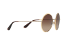 Sunglasses DOLCE & GABBANA DG 2155 (129713)