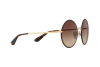 Sunglasses Dolce & Gabbana DG 2155 (132013)