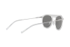 Солнцезащитные очки Dolce & Gabbana DG 2169 (05/6G)