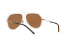 Солнцезащитные очки Dolce & Gabbana DG 2176 (488/73)