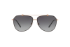 Солнцезащитные очки Dolce & Gabbana DG 2190 (12968G)