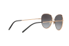 Sunglasses Dolce & Gabbana DG 2194 (12968G)