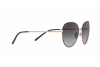 Sunglasses Dolce & Gabbana DG 2194 (12968G)