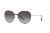Sunglasses Dolce & Gabbana DG 2194 (12968G)